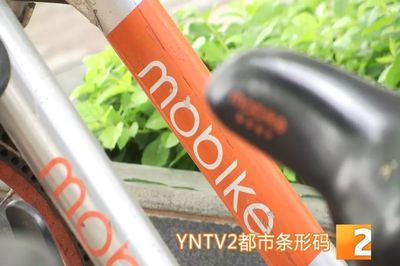 昆明共享單車管理升級 違停摩拜將罰款，ofo小黃車批量封存